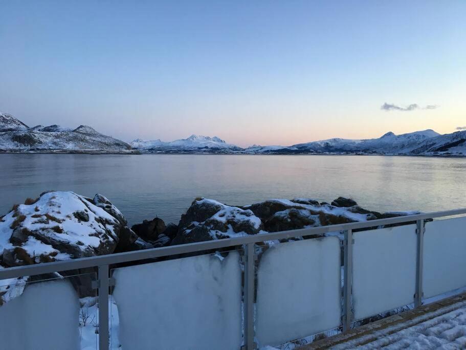 Hytte Ved Sjoen Napp 외부 사진